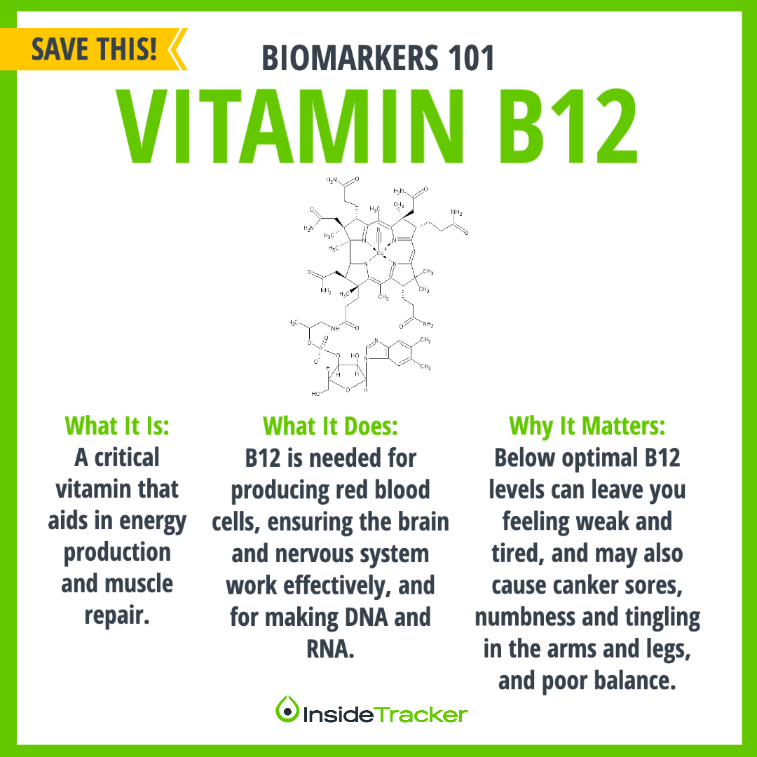 Vitamin B12 How to Reach an Optimized Level for Women